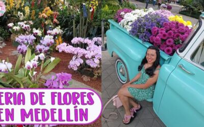 Explorando la Belleza de Flores y Naturaleza en Ferias