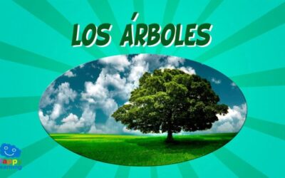 La importancia de la poda en árboles escolares