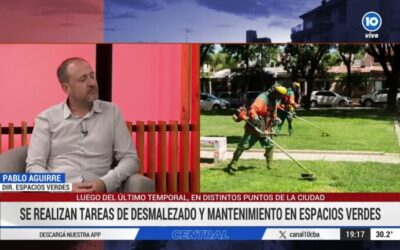 Optimización del Mantenimiento de Áreas Verdes en Rutas Naturales